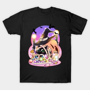 Spooky Season T-Shirt